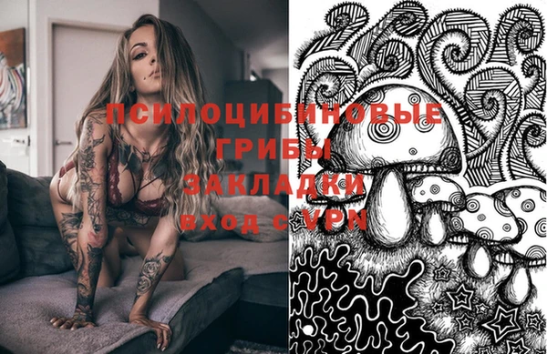шишки Балахна