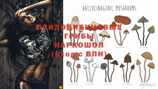 шишки Балахна