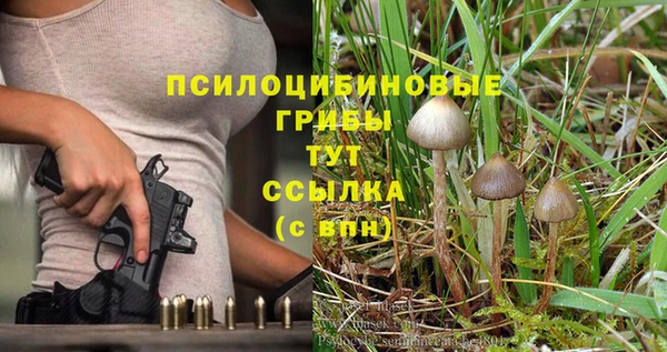 шишки Балахна