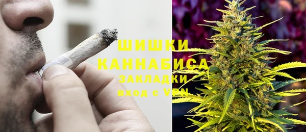 индика Россошь