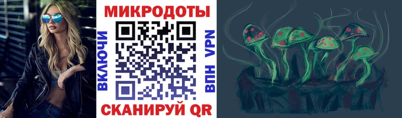 где можно купить наркотик  Унеча  гидра   Галлюциногенные грибы Magic Shrooms 