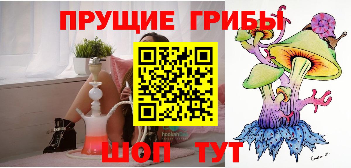 Унеча  Псилоцибиновые грибы Psilocybine cubensis  Вход с VPN 