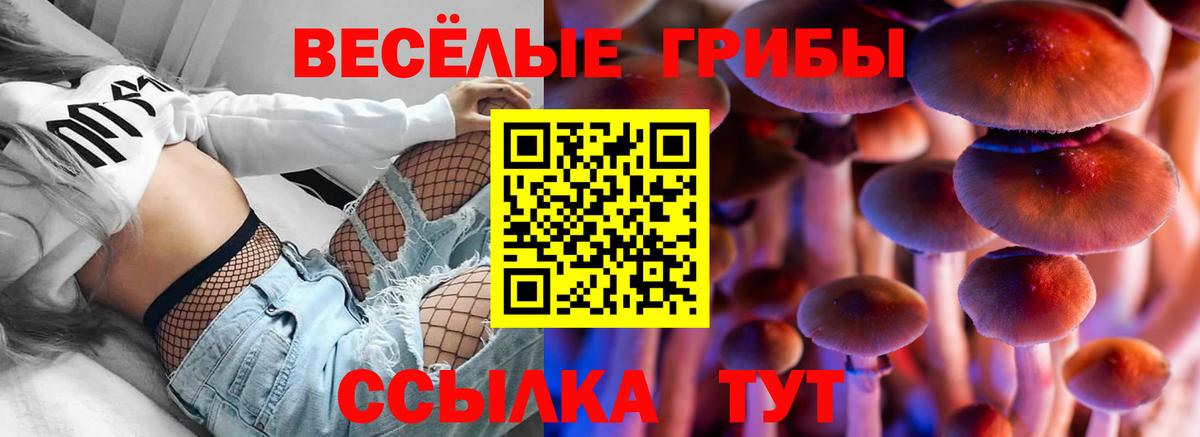 ГАШИШ  ЭКСТАЗИ  Кокаин  Мефедрон  Метамфетамин  Унеча  Марихуана  НБОМе  A-PVP СК   Вход с VPN  Мефедрон кристаллы 