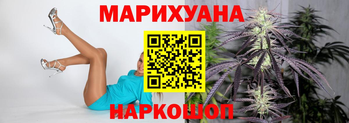 Конопля сатива Унеча